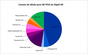 Causes de décès pour 80 PGA du Dépôt 85 - A-L CHARLES 2015